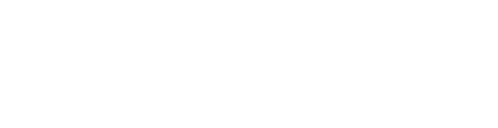 BT Consulta